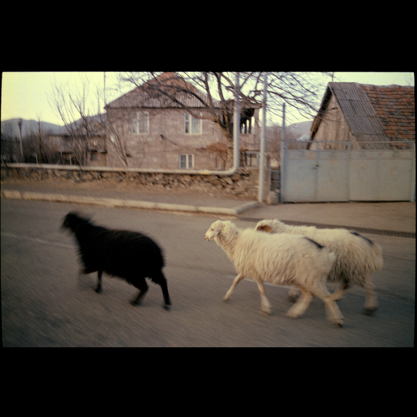Episode Cover