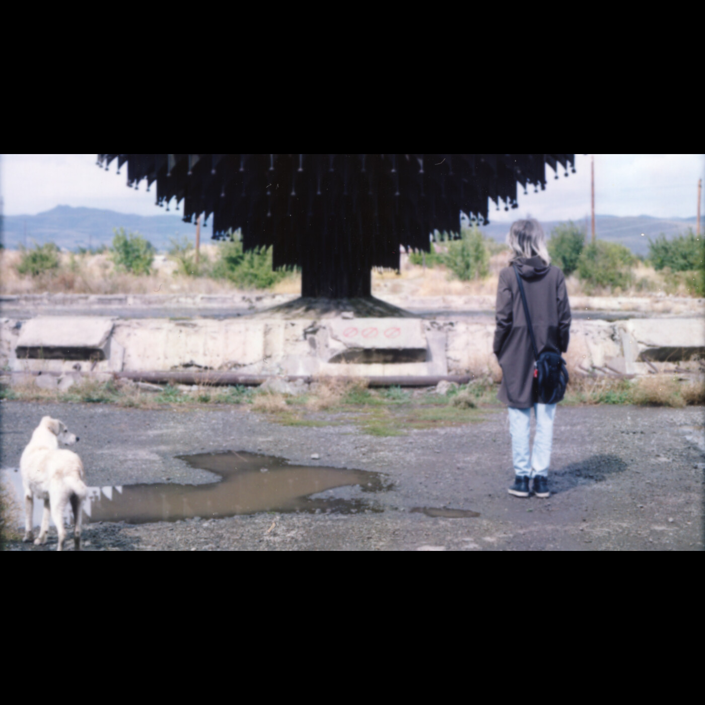 Episode Cover